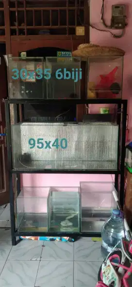 Aquarium dan rak ya