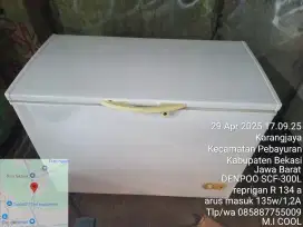 Freezerbox Denpoo 300L