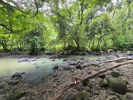 Dijual tanah  murah los sungai di tabanan bali zona yellow