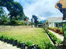 Dicari Segera Admin Wanita