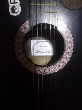 Guitar orca 3/4
