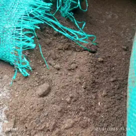 Bungkil Sawit Greet A pakan ternak
