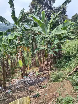 Jual Murah Tanah di Cimande