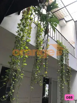 Di Jual Rumah Cantik Semi Boulevard Posisi Hoek di Raffless Hills
