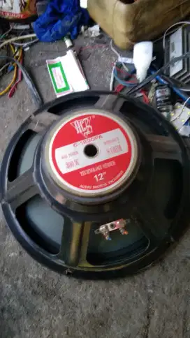 Speaker 12 inch