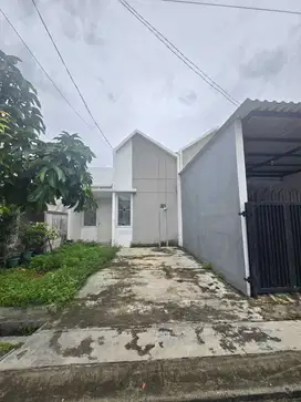 di jual rumah palem putri talaga bestari tangerang