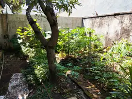 Rumah tua di Buah Batu Bandung Kota Strategis