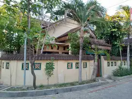 JUAL RUMAH SIAP HUNI FULL JATI DEKAT ITS, UNAIR DAN PAKUWON CITY