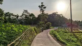 Jual tanah murah || Ketinggian 843 MDPL