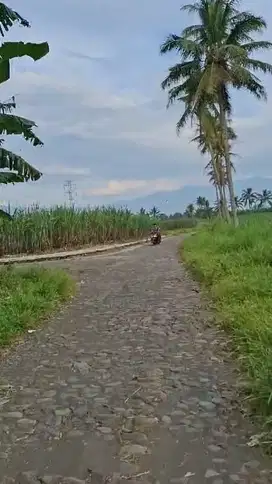 Tanah Poros Jalan Sumberkradenan Pakis Malang