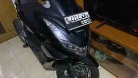 Jual aja g kepake