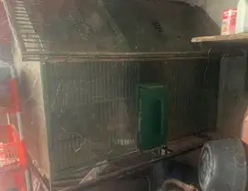 Di jual sangkar burung terbuat dari besi