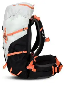 Eiger Phallanger