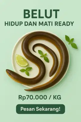Belut Sawah Segar! Gurih & Bergizi, Langsung dari Alam!