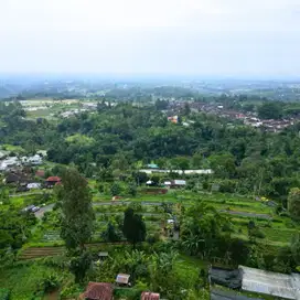 Dijual Tanah Murah Lokasi Strategis Di Bedugul Jatiluwuh Bali