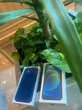 iphone 12 256gb the best