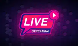 Talent Live tiktok Dan shopee