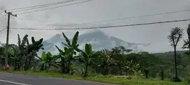 Mojokerto. Trawas. Komersial area. nol jalan. siap bangun