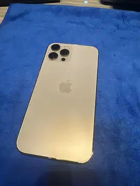 Iphone 12 Pro Max Gold 256 GB