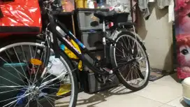 Sepedah genio keranjang