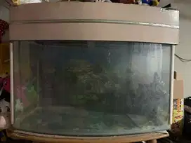 jual cepet aquarium layar cembung  90x40x60   lok depok.