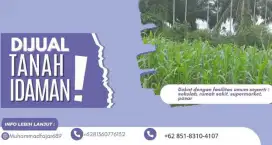 Dijual tanah murah tapi kualitas bagus