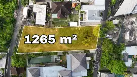 Tanah Bagus Link Villa Dua Akses Jalan Pererenan Canggu Bali