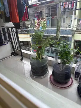 Di cari ART bebenah dan jaga anak