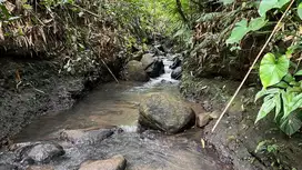 Jual tanah kebun view bagus harga murah di tabanan bali