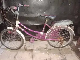 Sepeda anak cewek