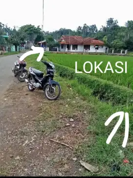 Dijual-sawah datar produktip akses pinggir-jalan utama kabupaten