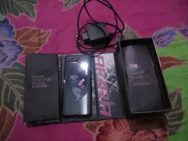 Asus ROG Phone 5
