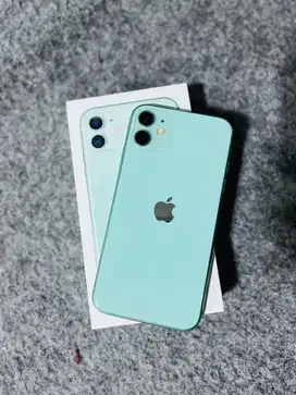 iPhone 11 128gb Green Resmi iBox