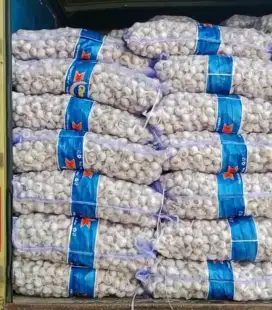 Bawang putih promo