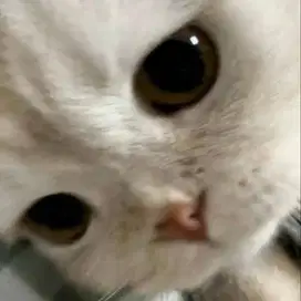 cari pekerjaan momong anak umur di atas 1 tahun
