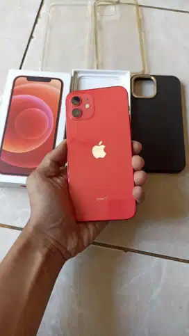 Iphone 12 64Gb Ex inter