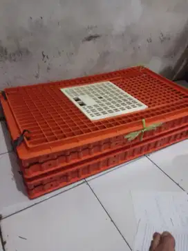 Keranjang ayam orange besar