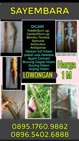 Lemari Loker kayu merk Banyumas
