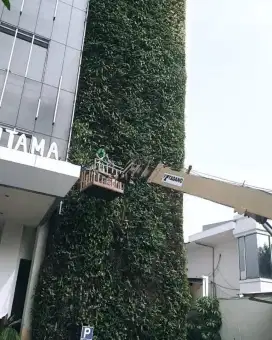 Perawatan taman jakarta / tukang perawatan taman di jakarta