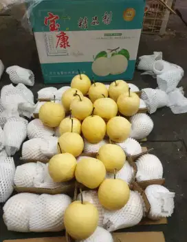 Buah pear century
