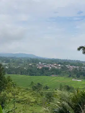 Tanah Strategis Dijual di Tegal Jawa Tengah
