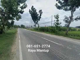 Tanah Raya Mantup Lamongan