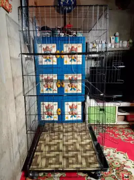 kandang kucing jumbo