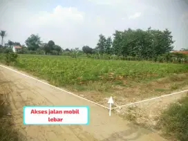 JUAL TANAH MURAH SURAT SHM