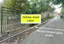 JUAL TANAH KEBUN NYK POHON BUAHNYA