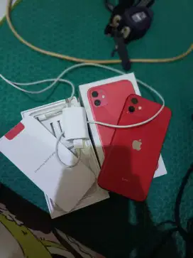 iPhone 11 256GB