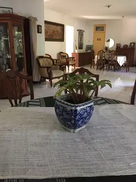 Rumah Asri, Letak Strategis, Nyaman, Siap Huni