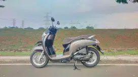Honda Scoopy 2020