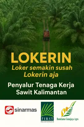 Kerja Sawit Kalimantan lajang & Pasutri, Dijemput dari Lokasii