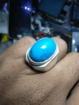 Batu pyrus blue fancy